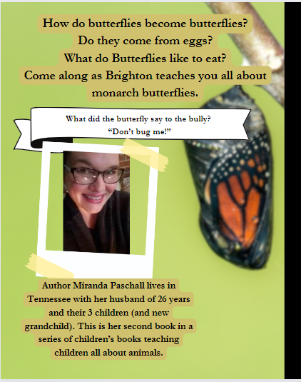 Brighton The Butterfly