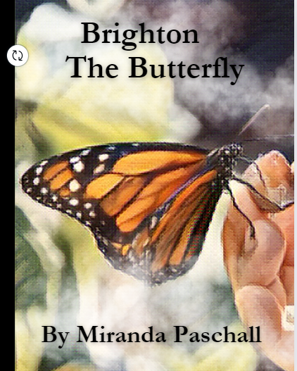 Brighton The Butterfly